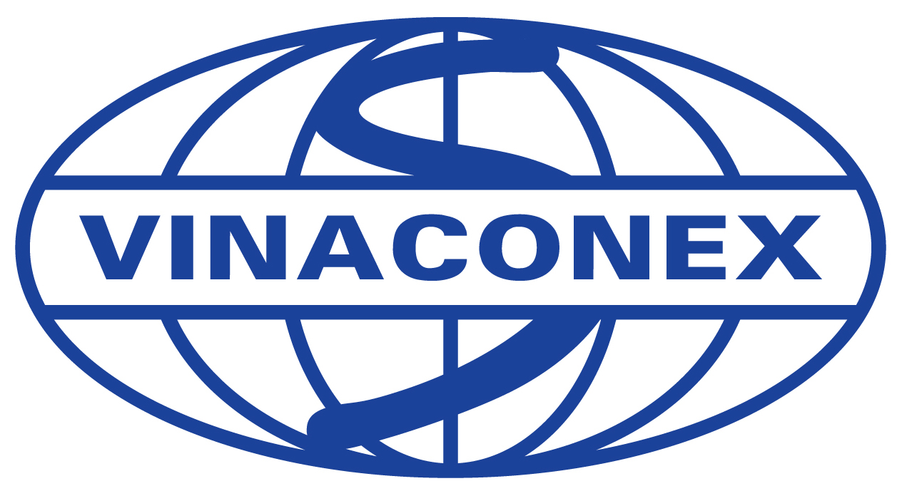 LogoVinaconex