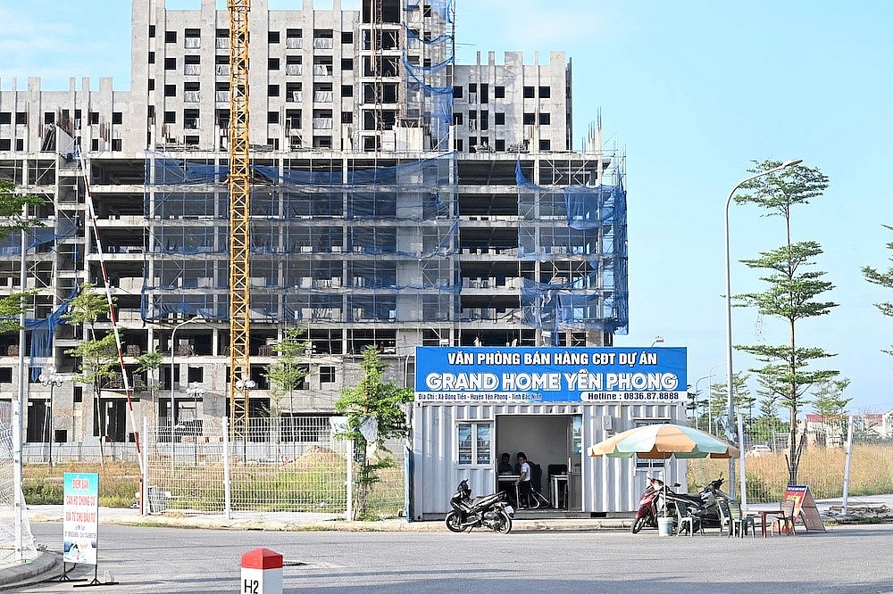 image00320241113202312